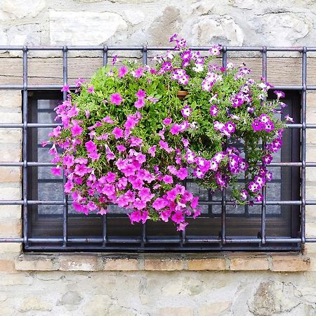 토티 Casale Le Orme B&B 외부 사진